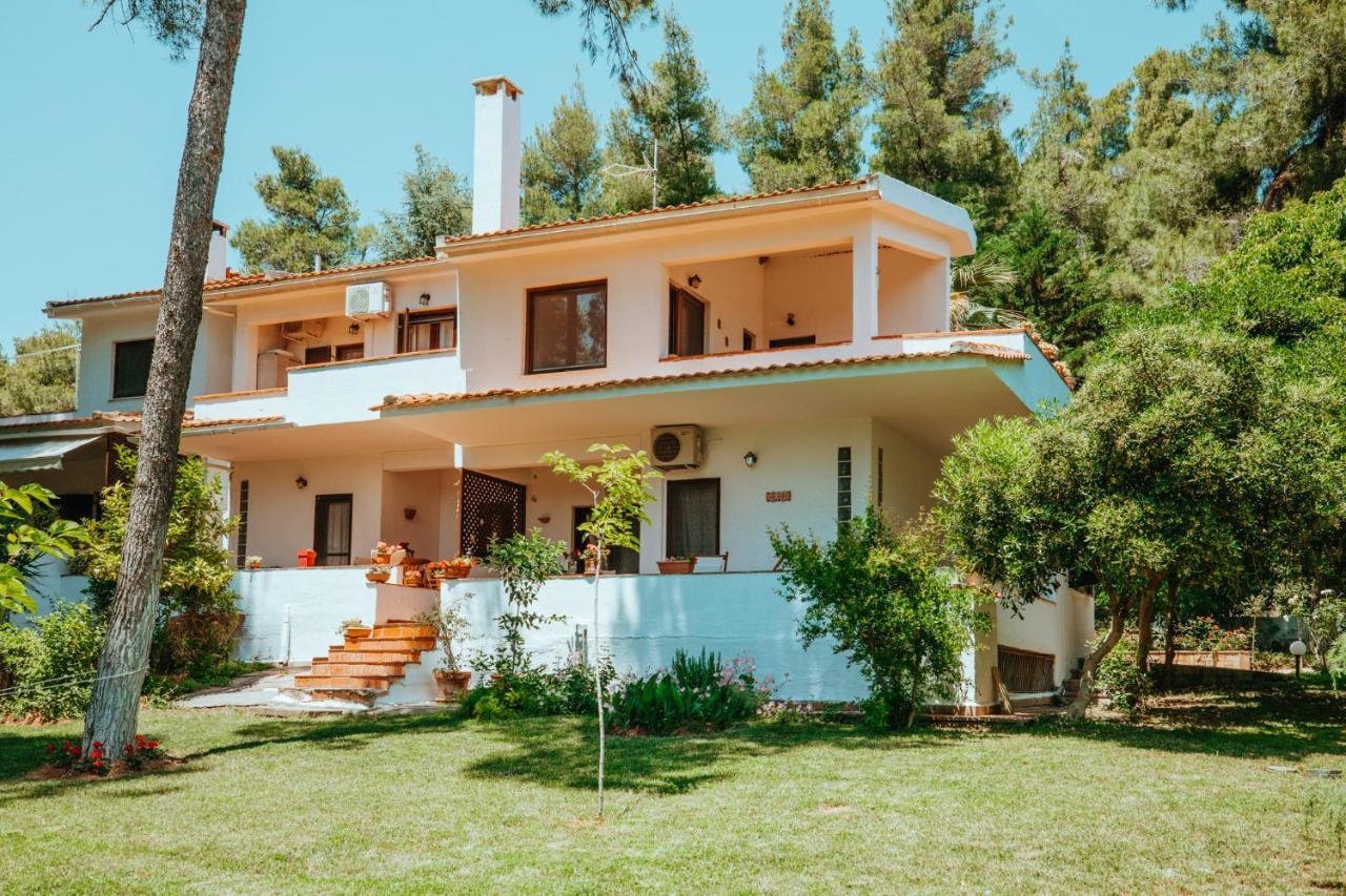 撒尼海滩Forest House Near The Sea公寓 外观 照片